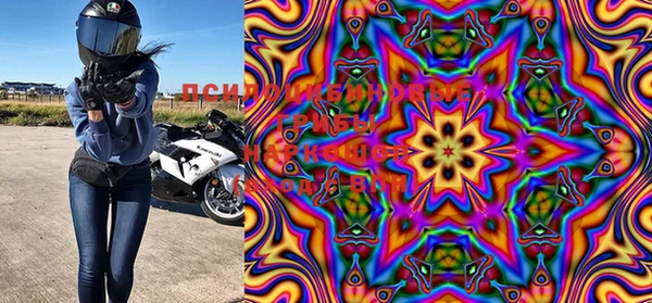 марки lsd Алзамай