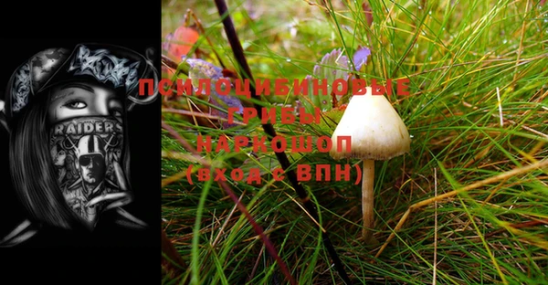 дживик Алексеевка