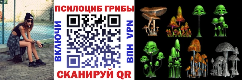 Галлюциногенные грибы Psilocybine cubensis  дарк нет какой сайт  Саранск 