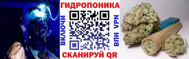 Бошки марихуана AK-47  даркнет сайт  сайты даркнета клад  Саранск 